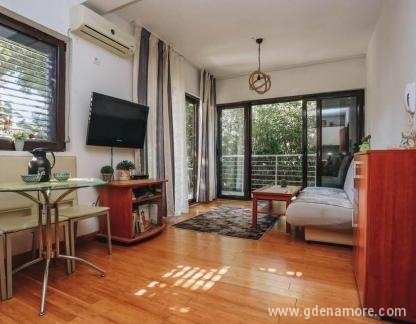 Apartment Runa, private accommodation in city Bečići, Montenegro - 171338558_1170735023363457_2696178767370576599_n (